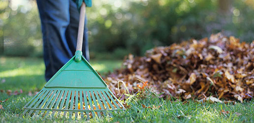 Ramassage des déchets verts