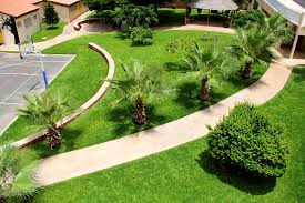 Entretien d’espaces verts professionnels à Dakar 2